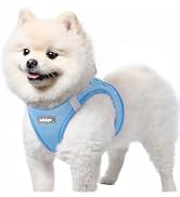 rabbitgoo Small Dog Harness, Step-in Soft Mesh Puppy Vest, Easy Walk with Safety Buckle, Breathab...