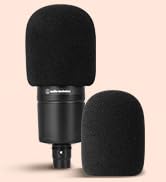 Audio-Technica Pop Filter