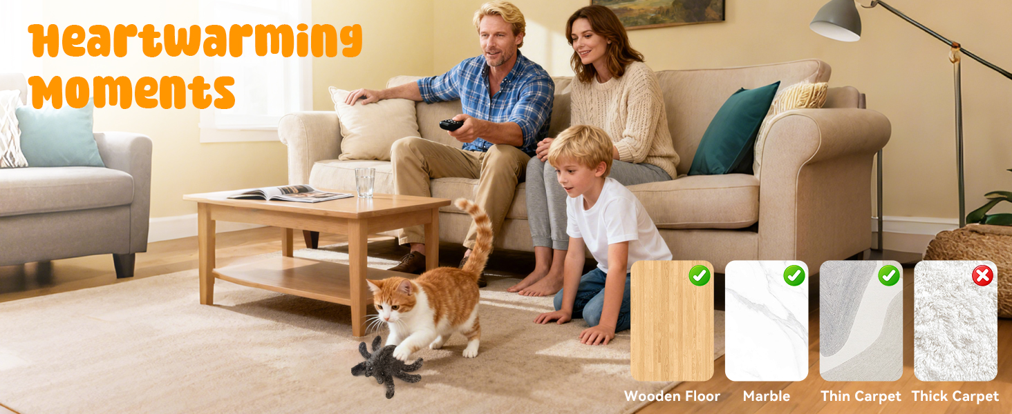 cat chase toy