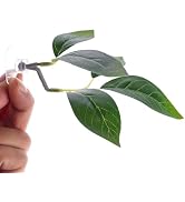 Green Betta Fish Leaf Pad,Plastic Plant Betta Hammock Leaf Bed,Simulating The Natural Habitat for...