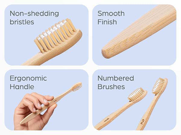 toothbrushes medium