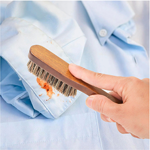 horsehair laundry brush