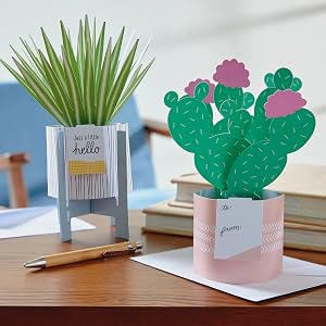 Pop-up plant cards for sympathy, encouragement, congratulations and birthday