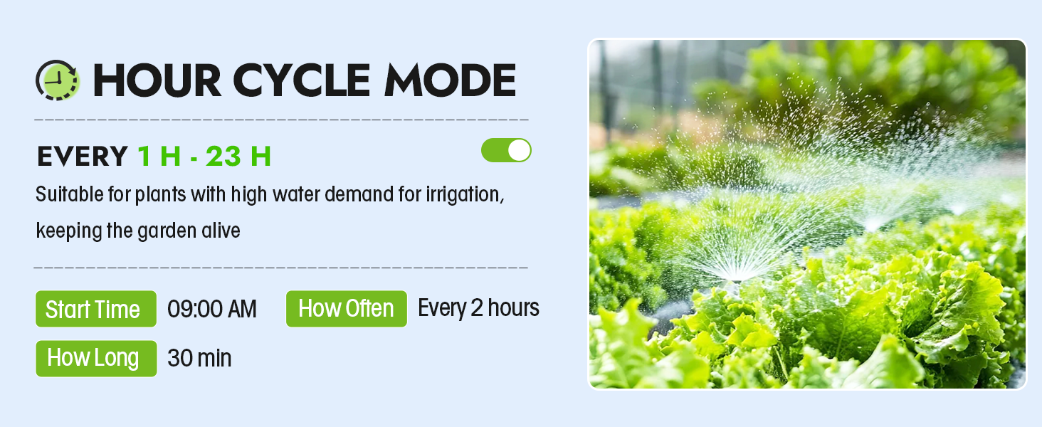 watering timer 2 outlet