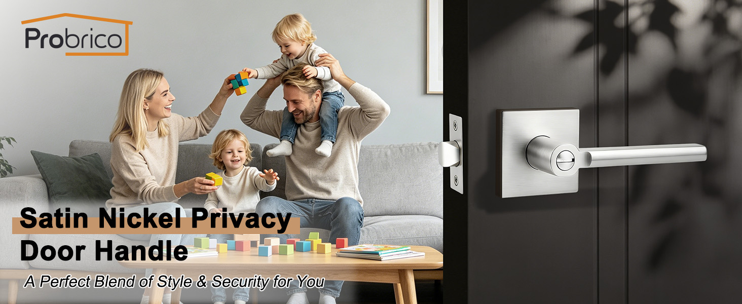 Nickel Privacy Door Handle