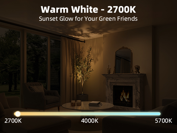 plant Spotlight Indoor