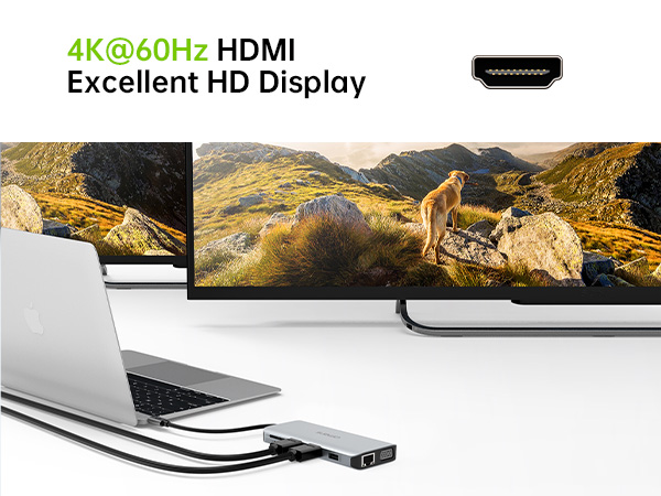 4K@60Hz HDMI