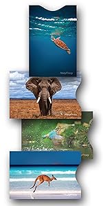 https://m.media-amazon.com/images/S/aplus-media-library-service-media/bec39635-de8b-4512-b211-3d12aee636d8.__CR0,0,1500,3000_PT0_SX150_V1___.jpg