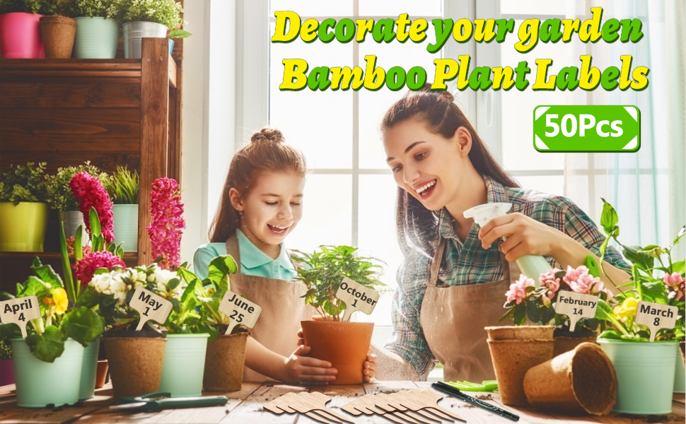 bamboo plant labels