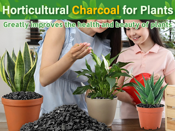 horticulture charcoal