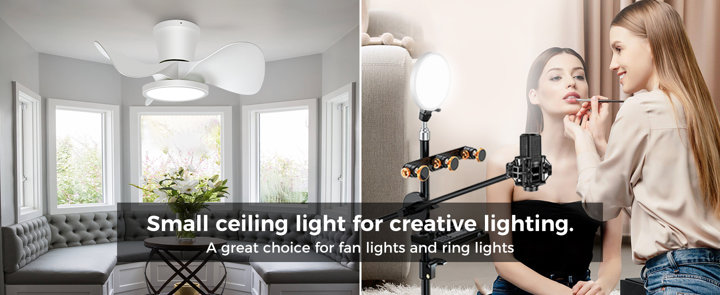 flush mount light
