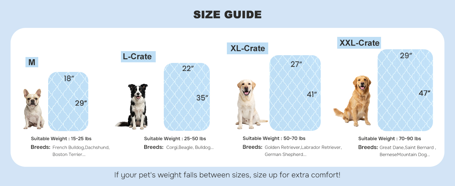 Size Reference
