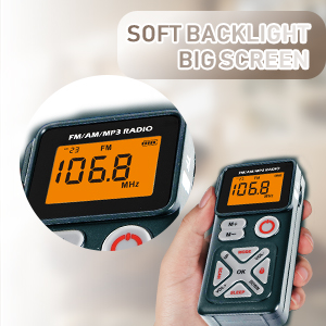 large LCD Screen