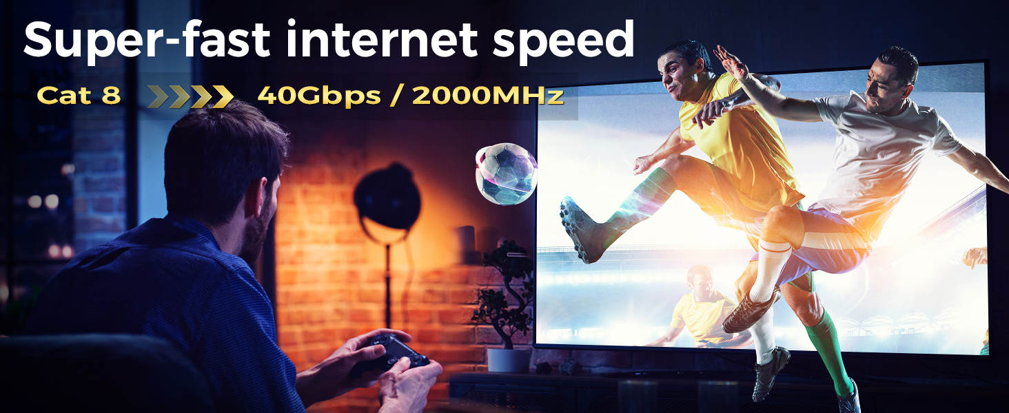 100 ft ethernet cable