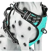 PoyPet No Pull Dog Harness, Reflective Comfortable Vest Harness with Front & Back 2 Leash Attachm...