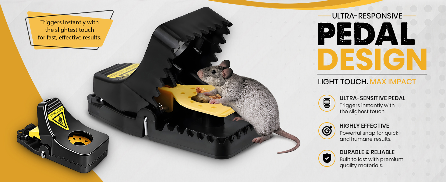 Mouse Traps