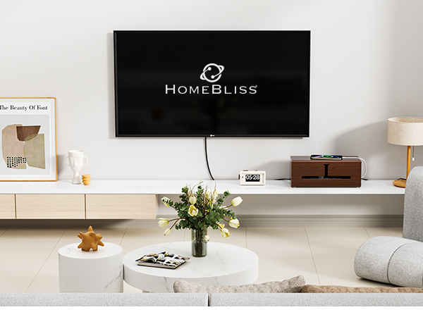 cable management box for TV