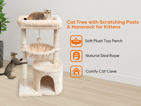 cat tree