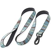 Embark Adventure Dog Leashes - Colorful, Strong and Sturdy Nylon Dog Leash for Small, Medium and ...