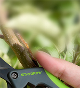 pruning shears