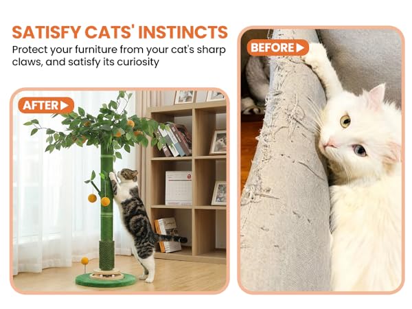 cat scratching post