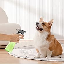 pet training