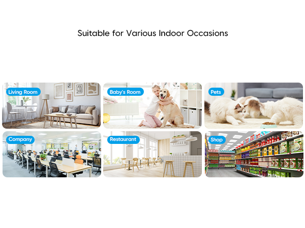 Suitable for Various Indoor Occasions