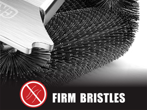 firm brsitles