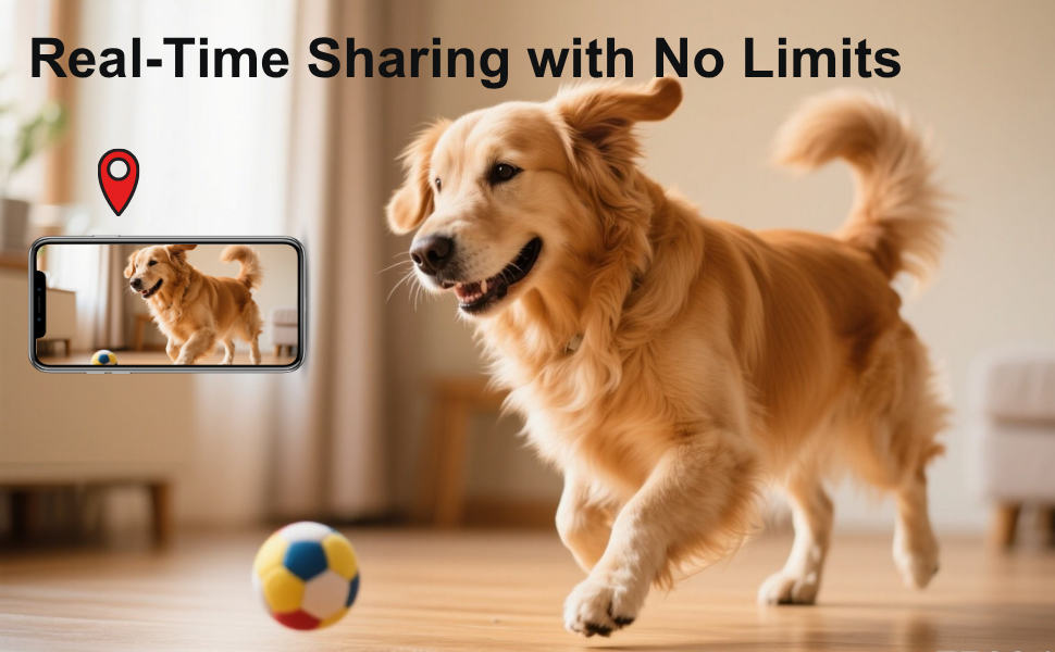 Real-Time Sharing with No Limits