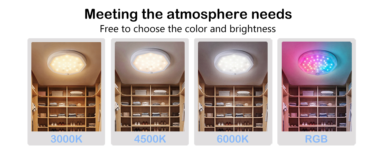 Rechargeable Motion Sensor Ceiling Light
