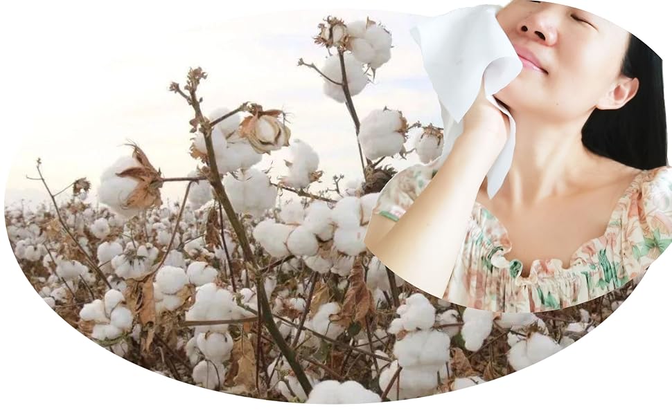 cotton wipes 970