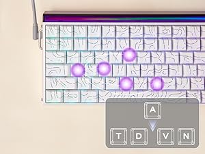 Hall Effect Keyboard with Neon RGB Light Box