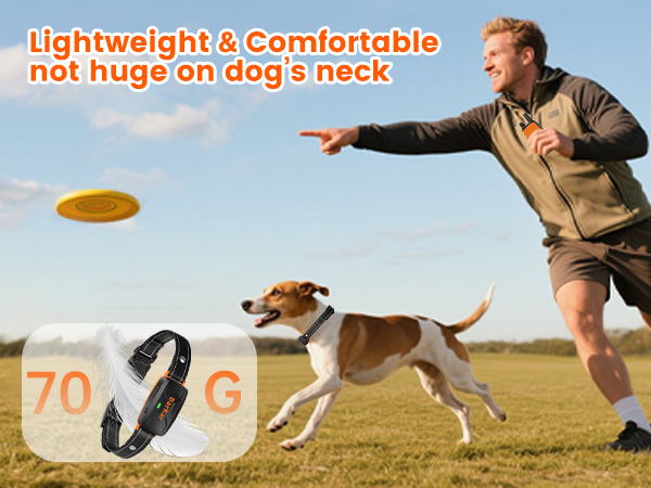 dog bark collar with remote