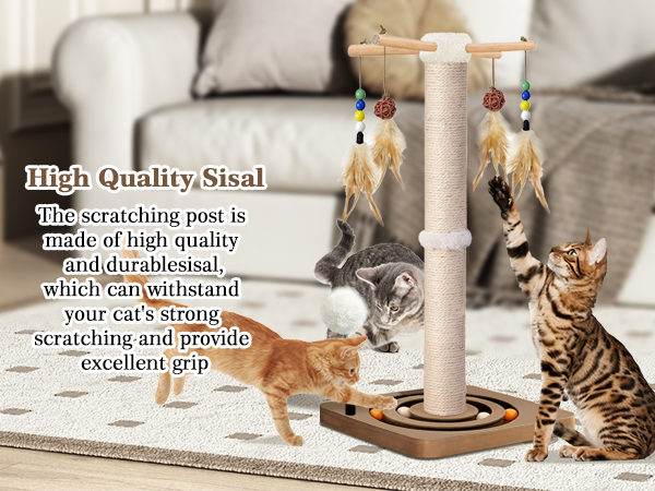 Cat Scratching Post
