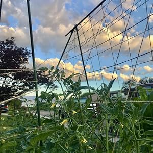 twine for gardening