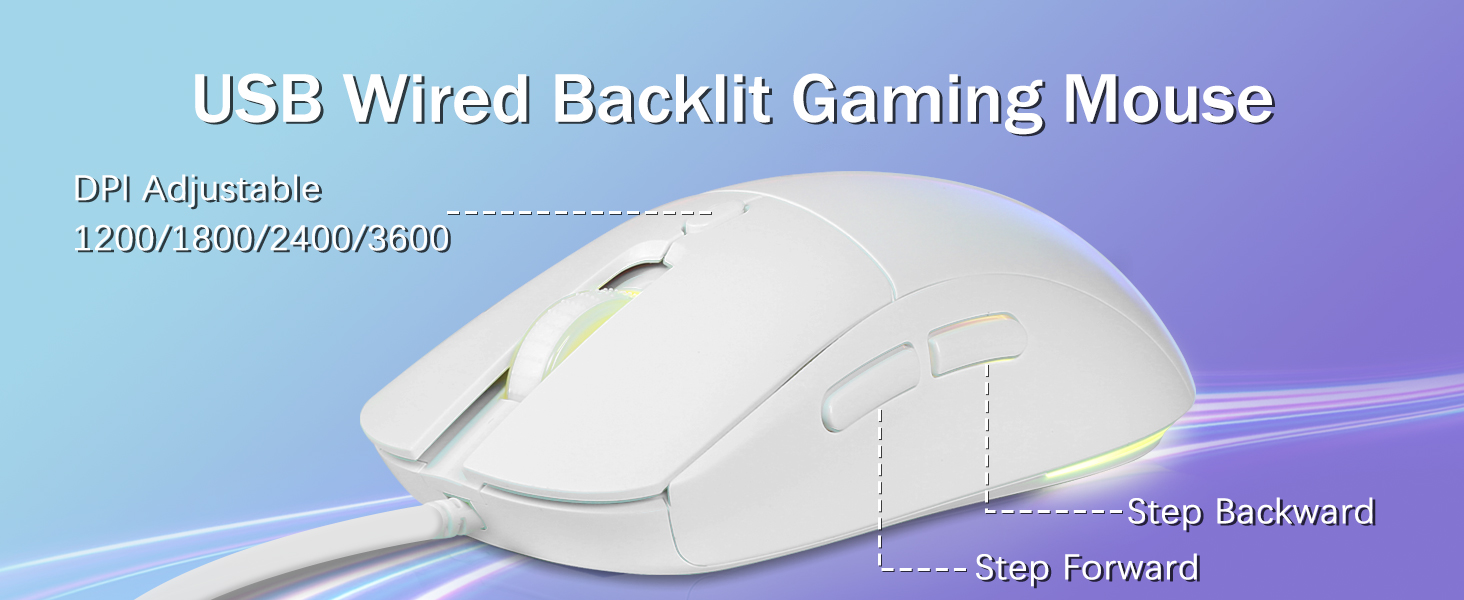 LED Backlit Mouse