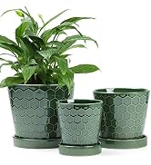 BUYMAX Ceramic Plant Pot – 4”+5”+6” inch Ceramic Flower Pot with Drainage Holes and Ceramic Tray ...