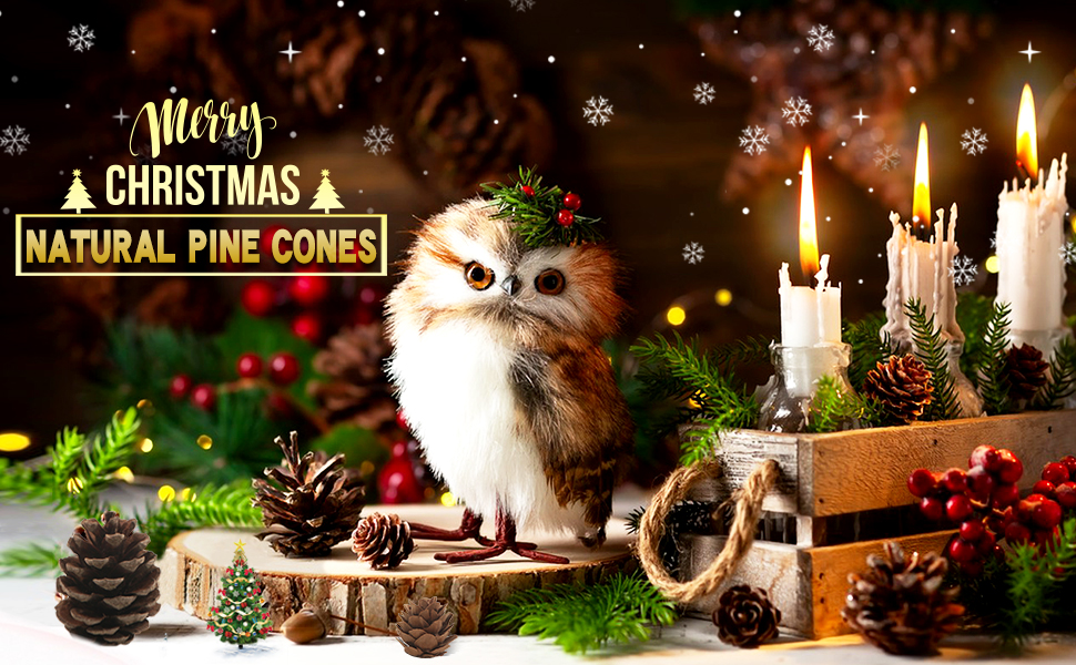 Pine Cones
