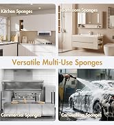 Large Sponges