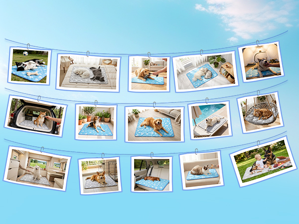 dog cooling mat