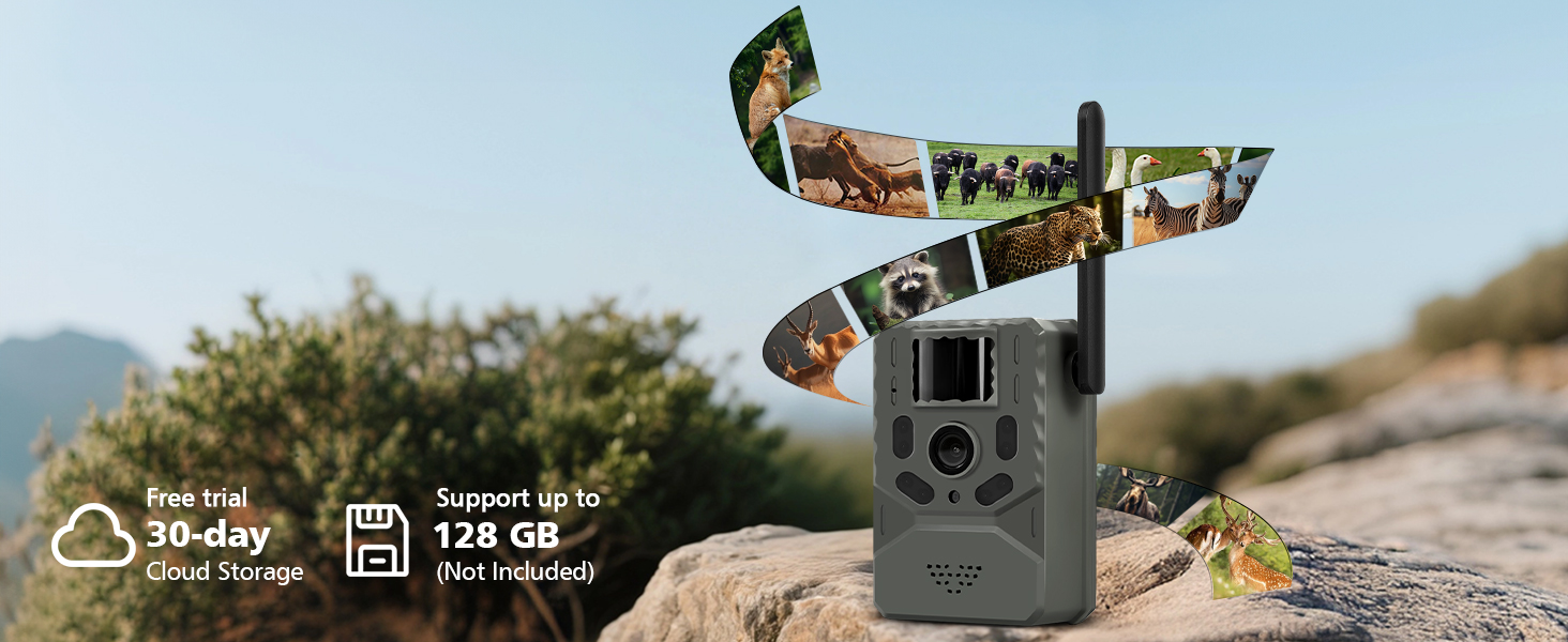 cell trail camera,solar game camera,trail camera solar