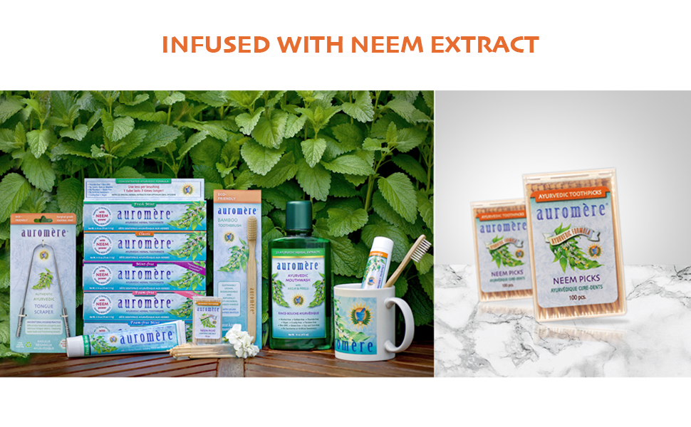 auromere fresh mint toothpaste