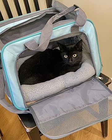 cat pad