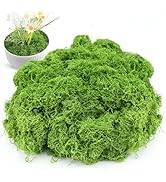 Hlmsyurx 7.05 OZ Fake Moss for Potted Plants, Artificial Green Moss Decor for DIY Table Centerpie...