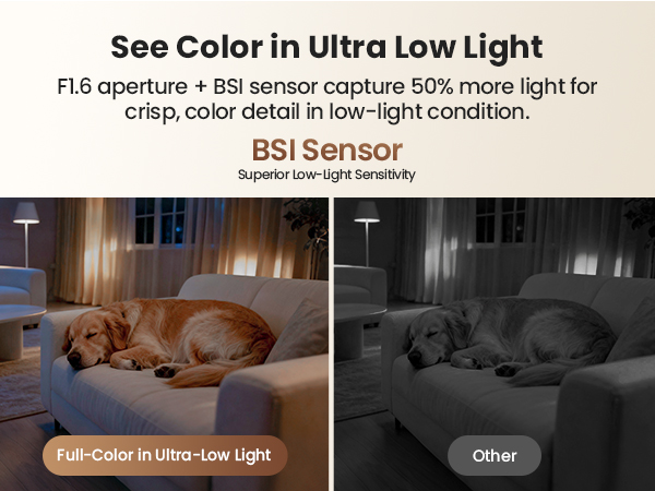 Full-Color Imaging in Dim Light