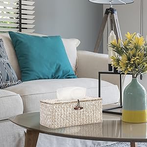 Decorative Tissue Holder for Living Room