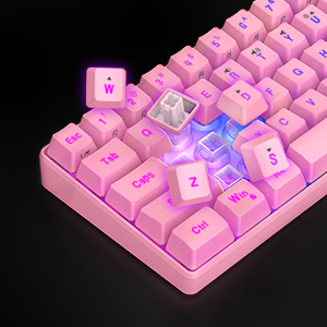 keyboard and mouse