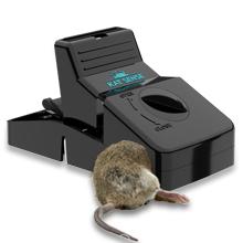 escape maouse packrat squeal setup snappy rugged sewer trays sensitive mousevtraps moouse closed