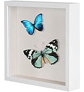 8x8 Shadow Box Picture Frame with Soft Linen Back - Metal Push Pins Included, Memory Box Display ...