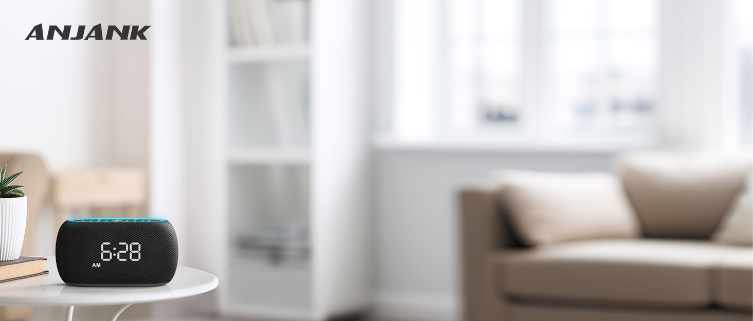 FM Radio Alarm Clock